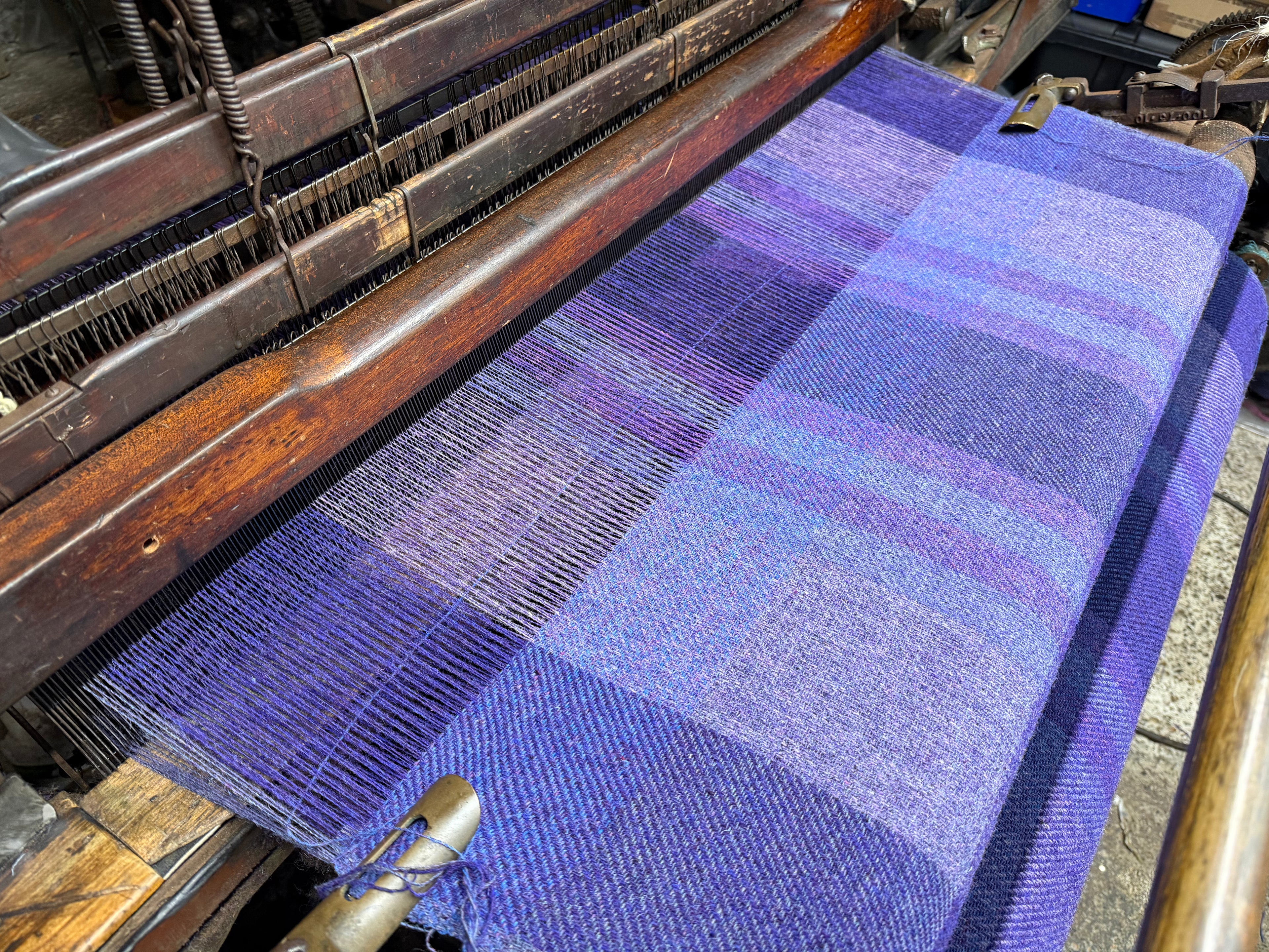 *COMING SOON* Purple Check